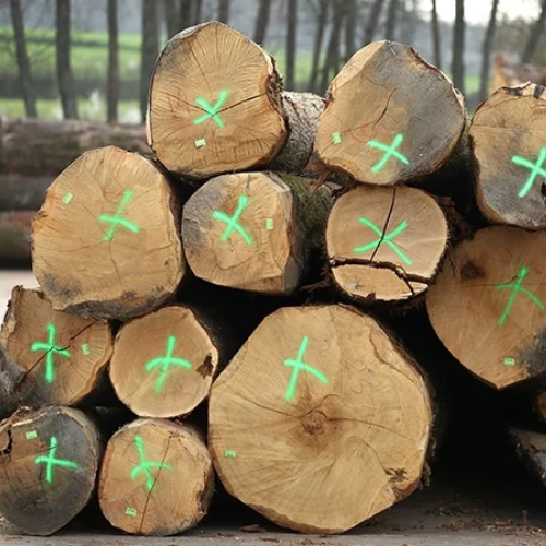 Holzscheite – Eiche