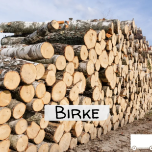 Birke Brennholz – flexible LKW-Ladung – 20 RM oder 40 RM – Volle LKW-Ladung