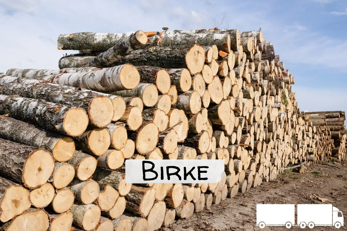 Birke Brennholz – flexible LKW-Ladung – 20 RM oder 40 RM – Volle LKW-Ladung