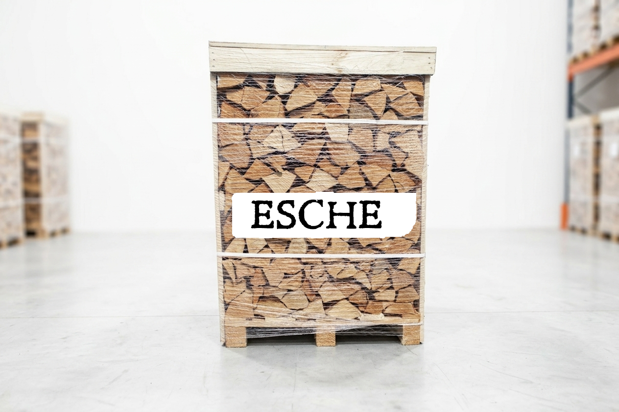 Brennholz Palette – Esche – 30/33 cm – kammergetrocknet – 1 RM – Bild 2
