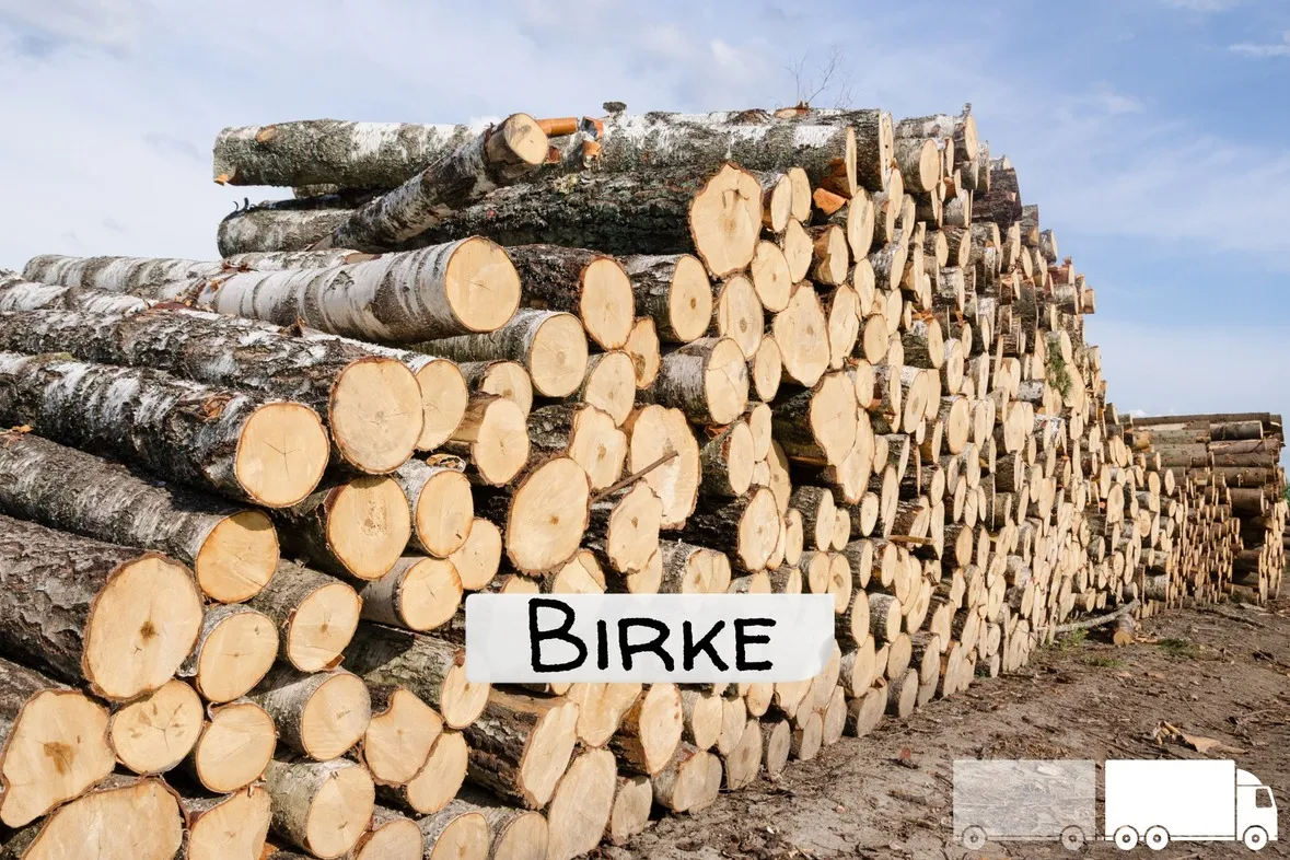 Birke Brennholz – flexible LKW-Ladung – 20 RM oder 40 RM – Volle LKW-Ladung – Bild 2