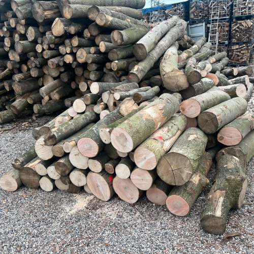 Hartholz Mix Stammholz – Eiche, Esche und Hainbuche