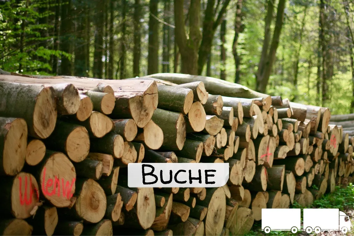 Buche Brennholz – LKW-Ladung (Volle oder Halbe Ladung) – Volle LKW-Ladung