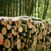 Hartholz / Laubholz Holzscheite – LKW-Ladung (20 – 40 RM)