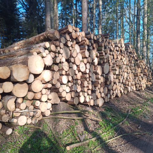 Nadelholz Stammholz