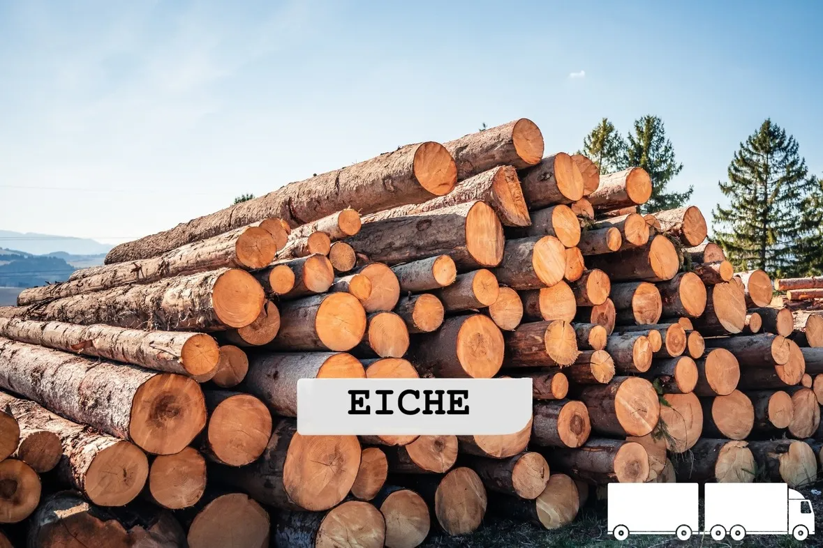 Eiche Brennholz – flexible LKW-Ladung (20 RM oder 40 RM) – Volle LKW-Ladung