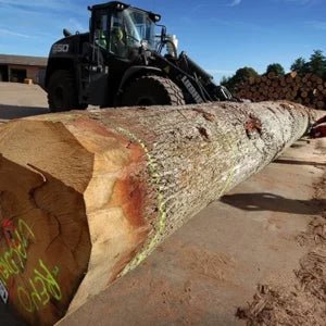 Holzscheite – Eiche – Bild 2