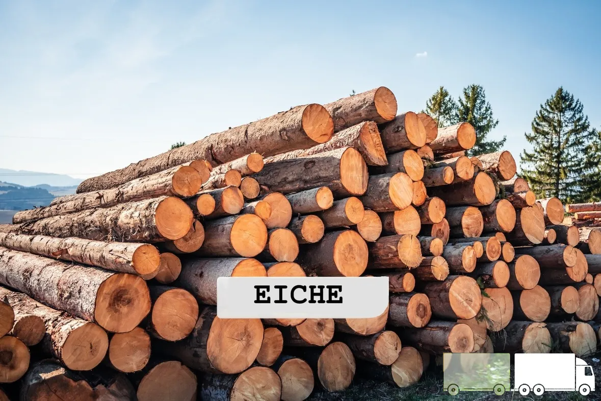 Eiche Brennholz – flexible LKW-Ladung (20 RM oder 40 RM) – Volle LKW-Ladung – Bild 2