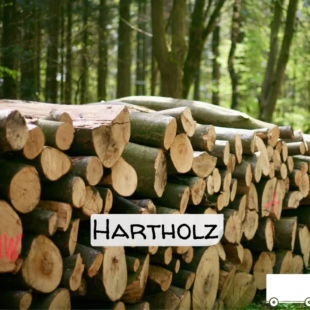 Hartholz Holzscheite – LKW-Ladung (20 – 40 RM) – Volle LKW-Ladung