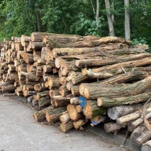 Waldkiefer Stammholz – PEFC – – 3 – 10 m – 3 LKW-Ladungen – 120 RM
