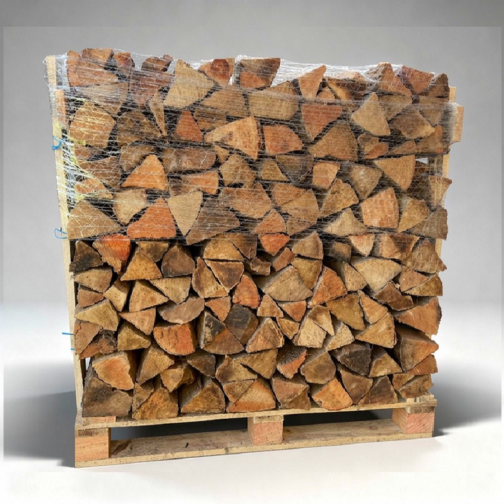 Buche Brennholz 30 cm kammergetrocknet on a Palette – Bild 2