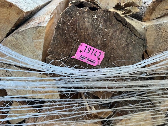 Getrocknet Hainbuche Brennholz 50 cm – Palette – Bild 2