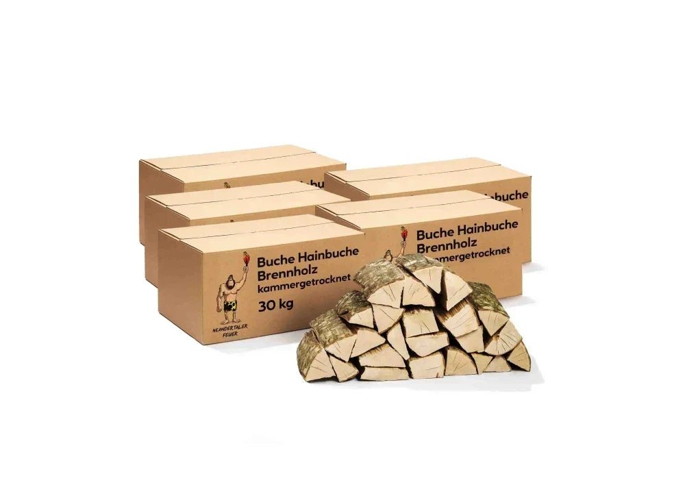 Buche & Hainbuche Brennholz – 180 kg