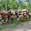 Eiche Stammholz – PEFC – – 3 – 10 m – Halbe LKW-Ladung – 20 RM