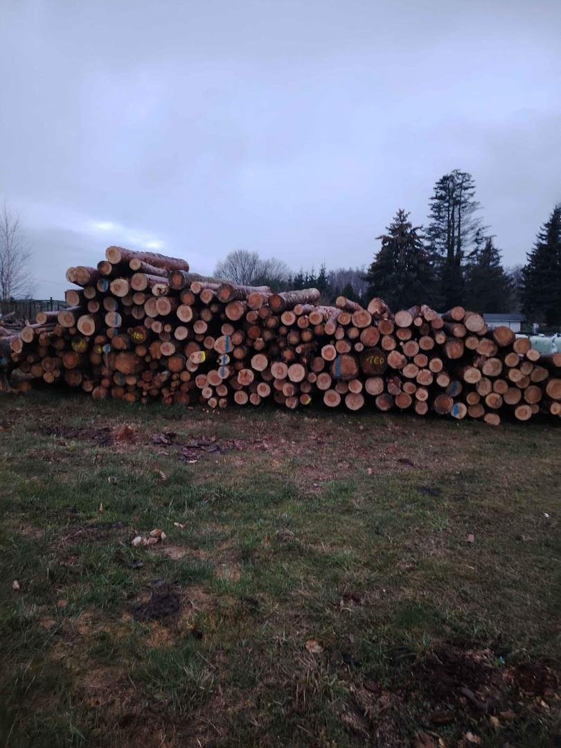 Nadelholz Stammholz